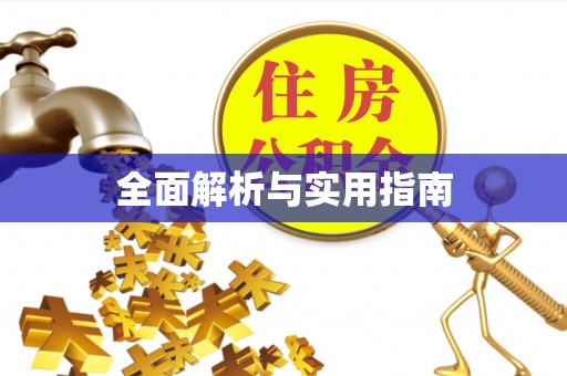 大庆全面解析与实用指南